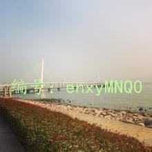 ʶ