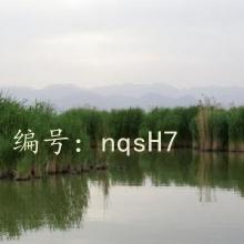 ϸ΢