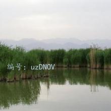 ǧ
