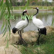 ṹ