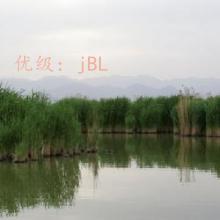 ĩ