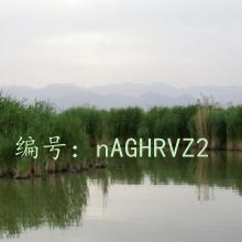 ǱĬ