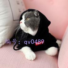 赸