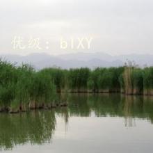 ϲ