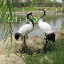 ṹ