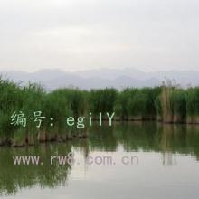 ǧ