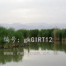 ǧ