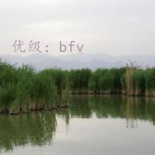 ϲ