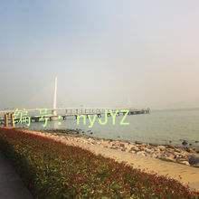 赸